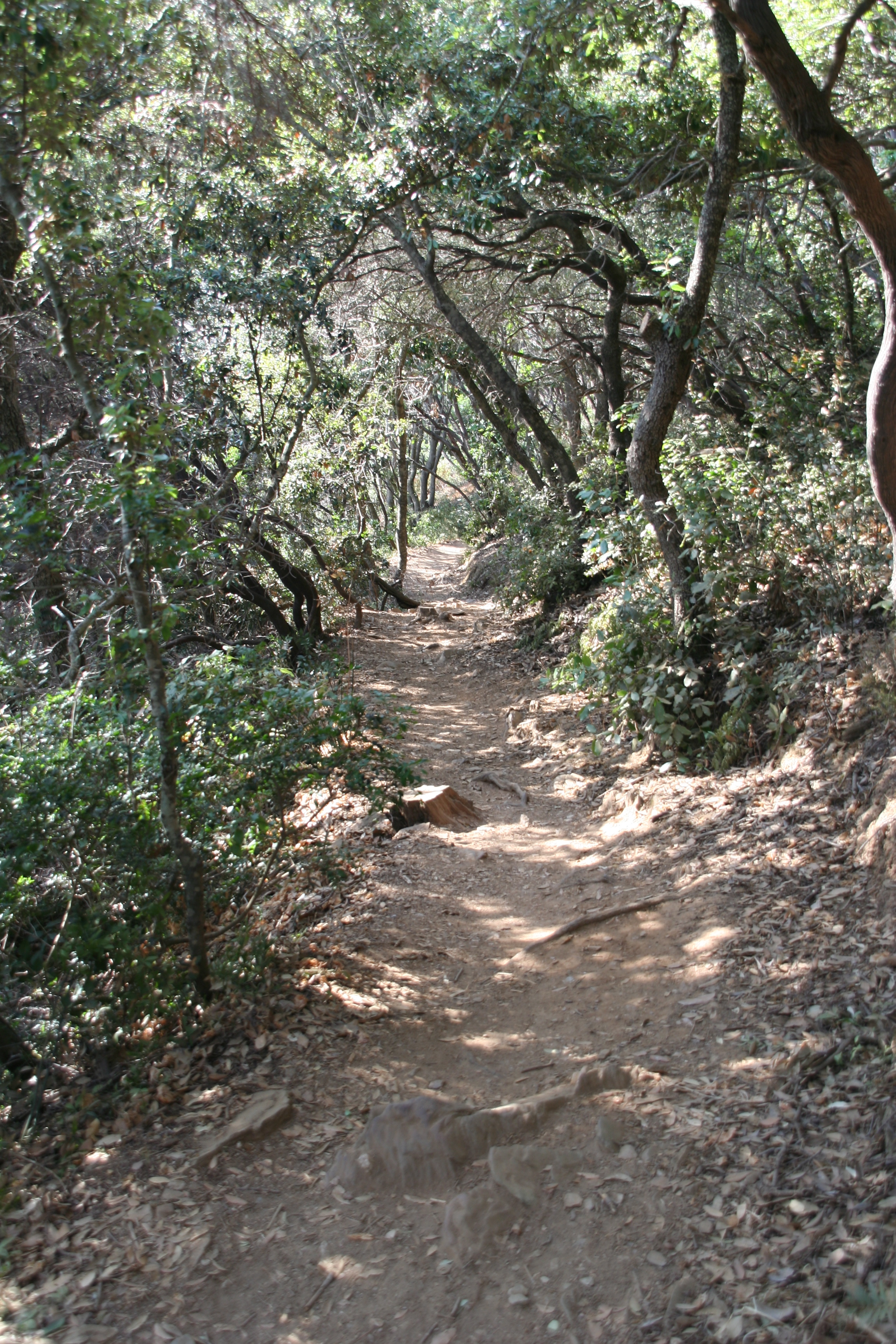 Sentier Port-Cros
