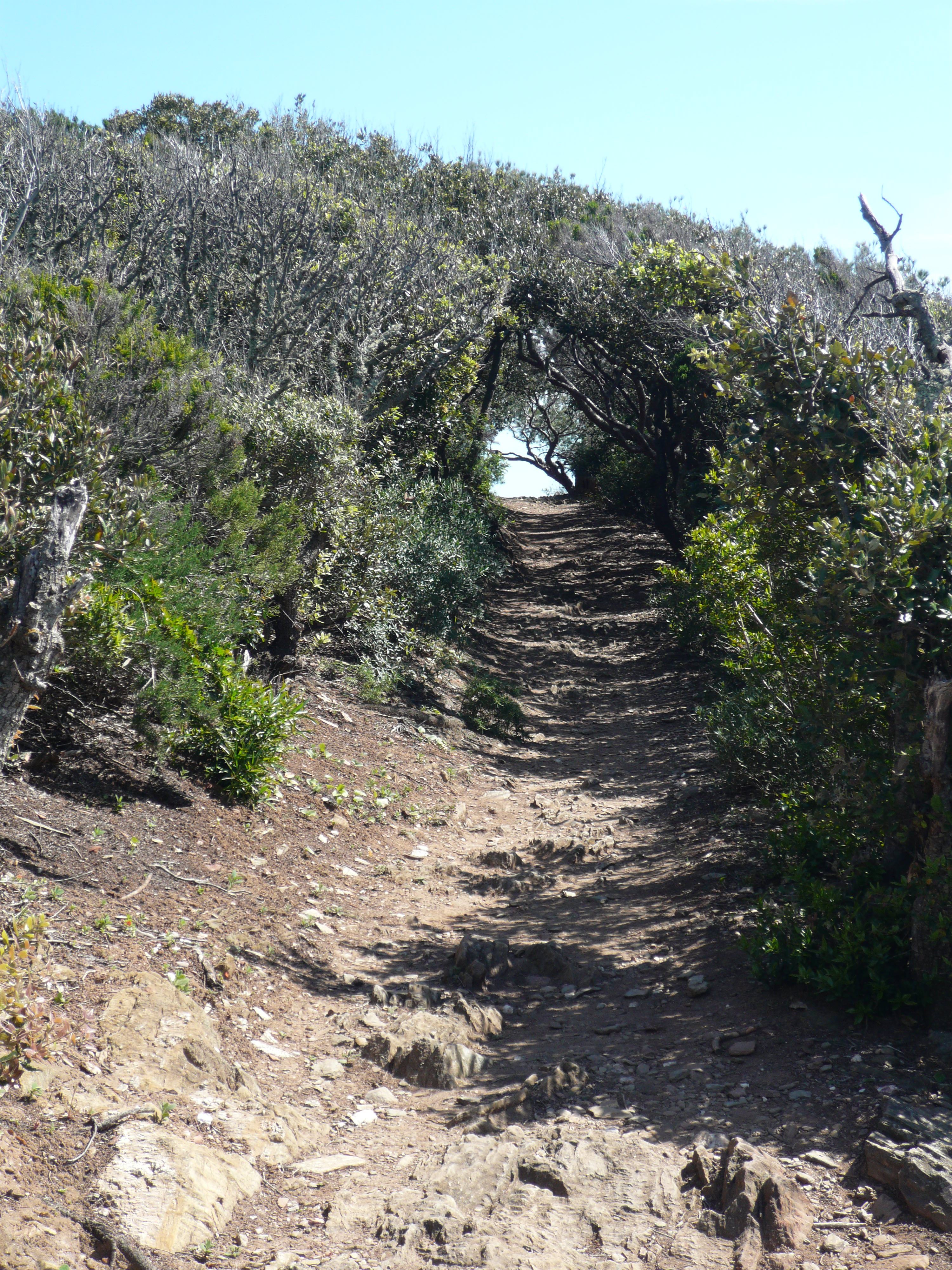 Sentier Port-Cros